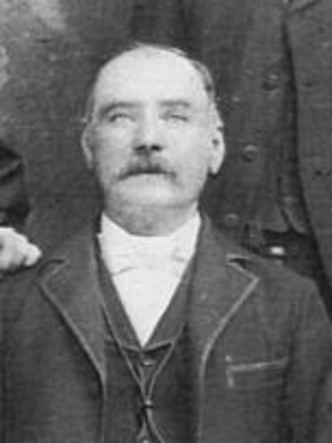 William Williamson Nelson (1843 - 1900) Profile